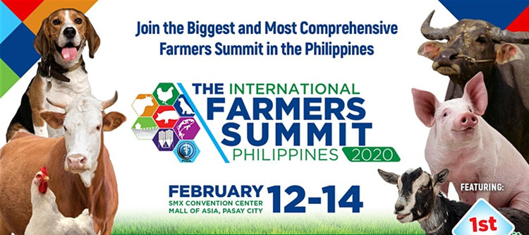 Jiangshan will attend the 2020 Philippines exhibition