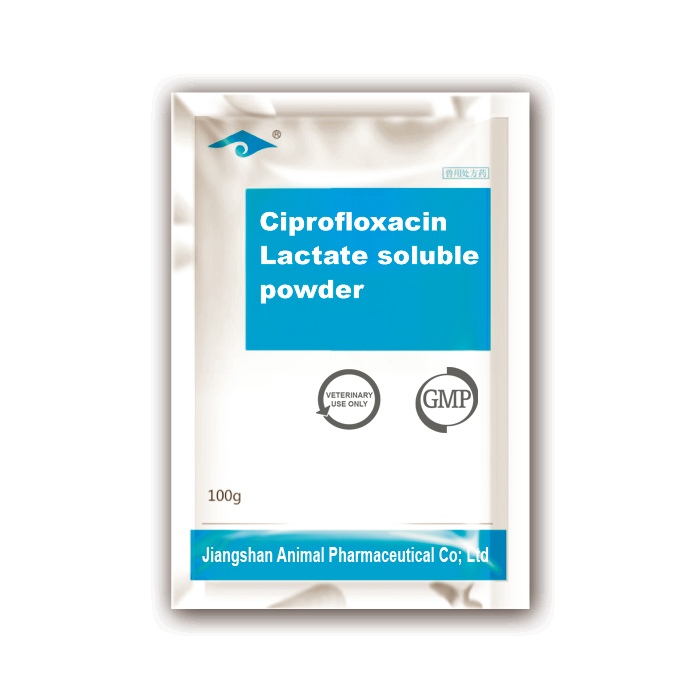 Ciprofloxacin Lactate soluble powder
