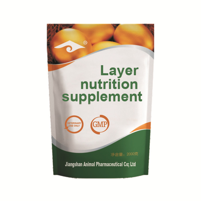 Layer nutrition supplement to increase the egg quantity