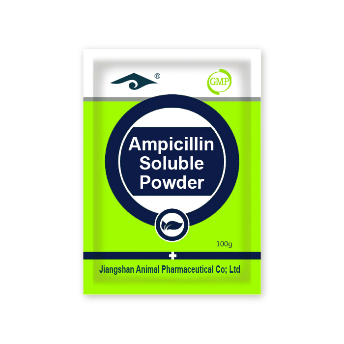 Ampicillin Soluble Powder