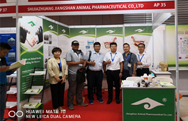 Indonesia Indo livestock exhibition