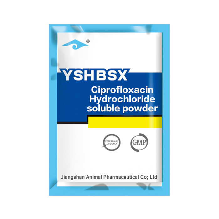 Ciprofloxacin Hydrochloride soluble powder