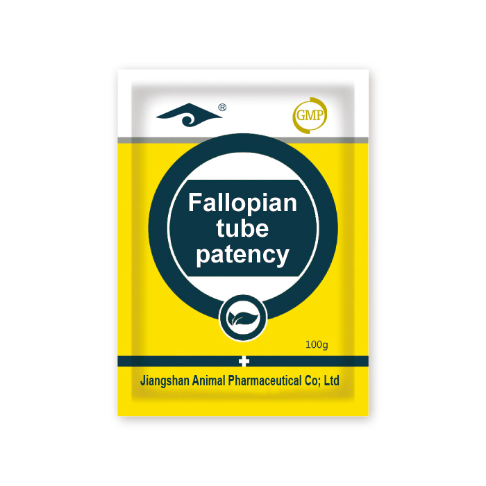 Fallopian Tube Patency 