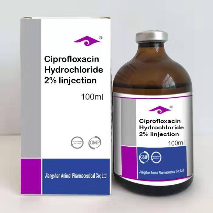 Ciprofloxacin Hydrochloride 2% Injection 