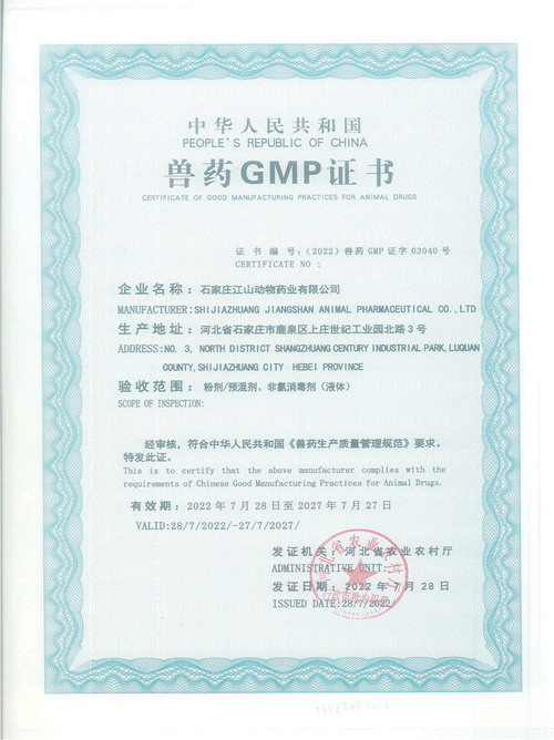 China GMP Certificate