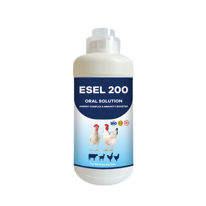 ESEL 200 Oral Solution