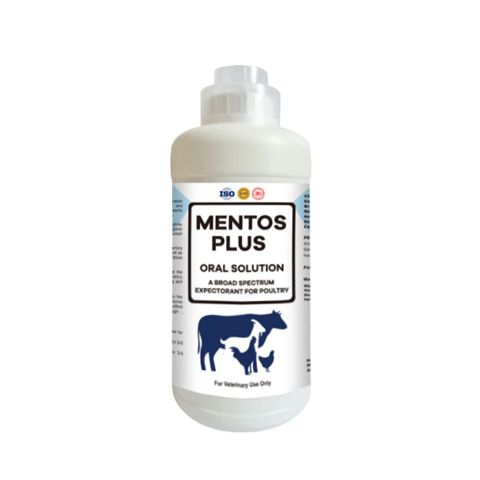 Mentos Plus Oral Solution